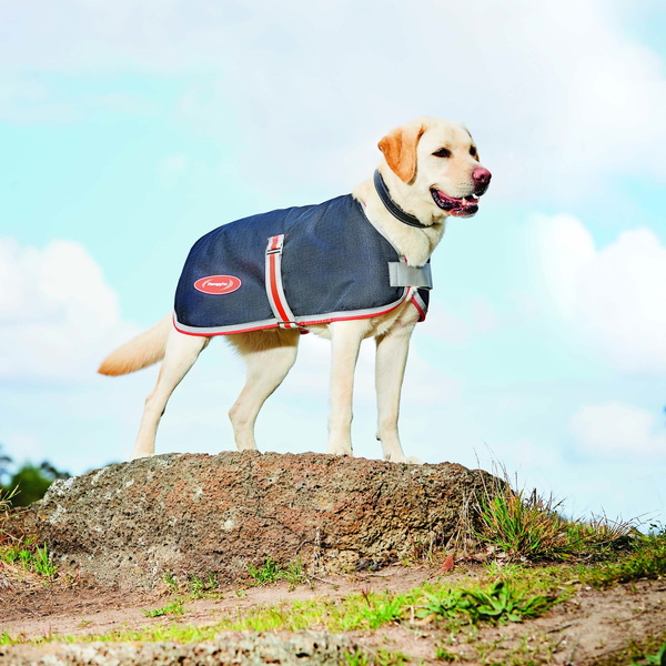 Weatherbeeta Comfitec 1200D Therapy-Tec Dog Coat 1000867 - Black